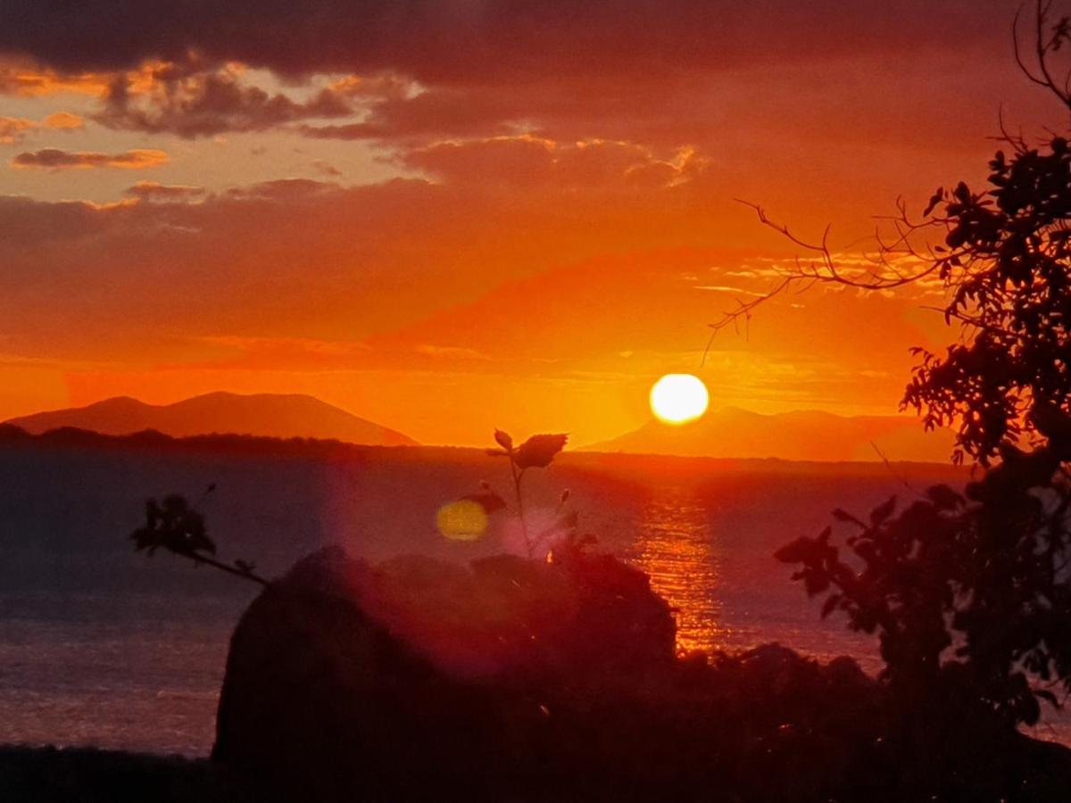 Whitsunday Sands Resort โบเวน ภายนอก รูปภาพ